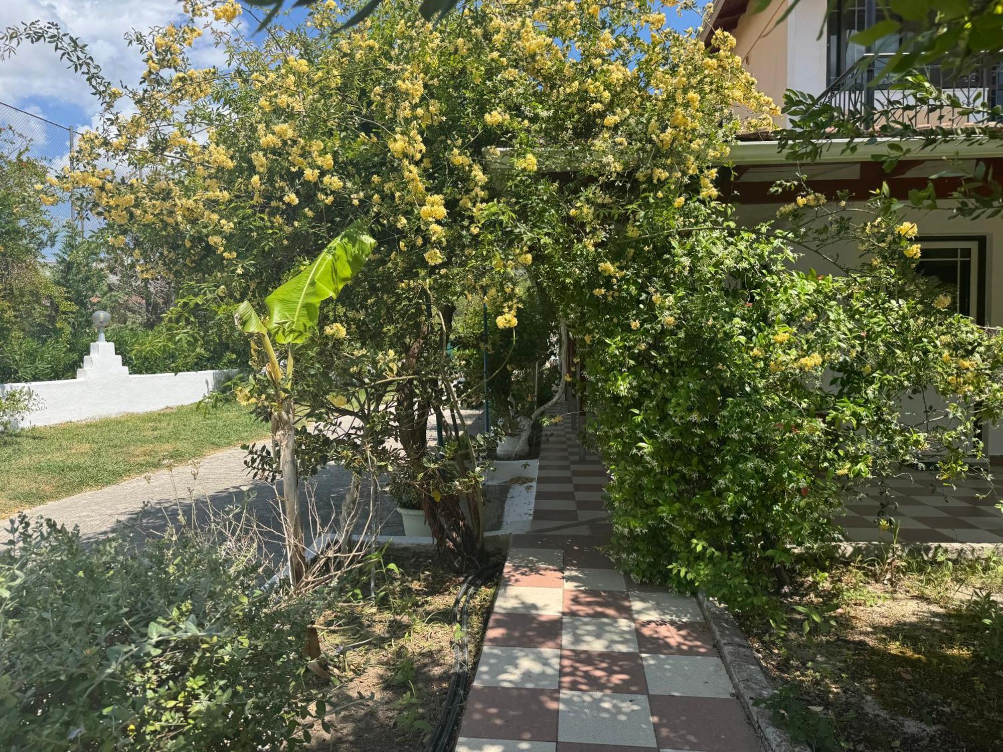Gasthof Koala Place Vasiliki