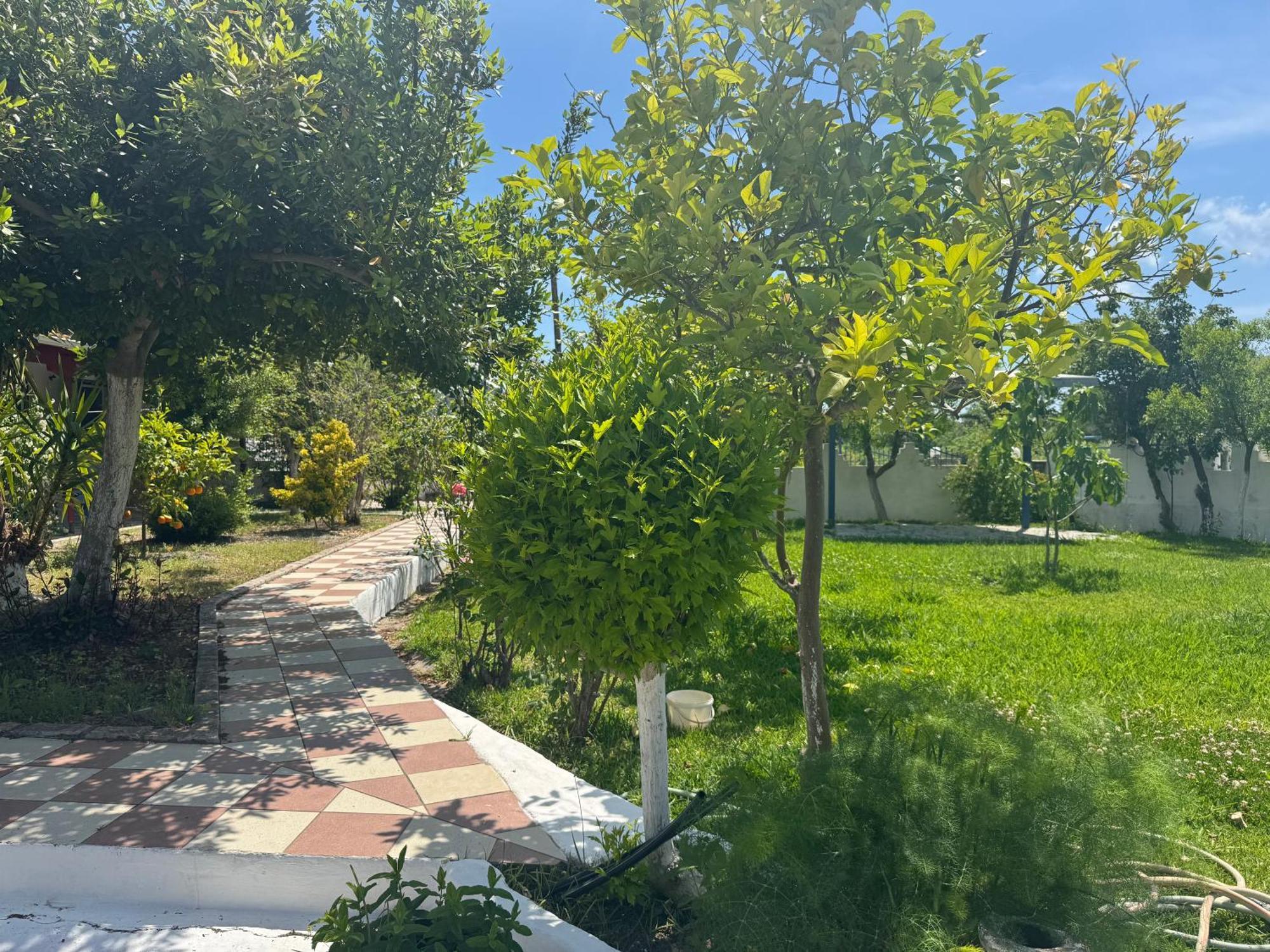 Koala Place Vasiliki
